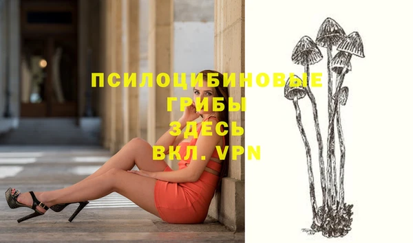 mix Вяземский