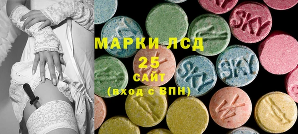 ГАЛЛЮЦИНОГЕННЫЕ ГРИБЫ Вязники