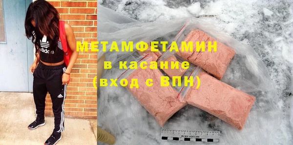 прущие грибы Вязьма