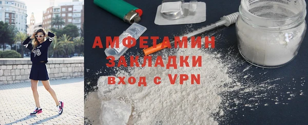 прущие грибы Вязьма