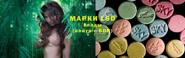 прущие грибы Вязьма