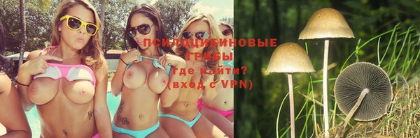 ГАЛЛЮЦИНОГЕННЫЕ ГРИБЫ Вязники
