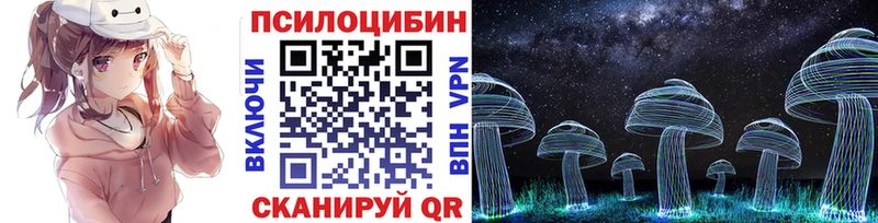 Купить где  Пыталово  Галлюциногенные грибы мицелий 